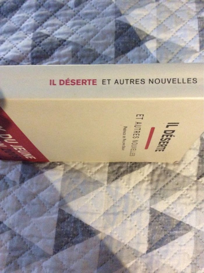 #il déserte et autres nouvelles - photo numéro 4