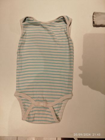 Body (lot possible)