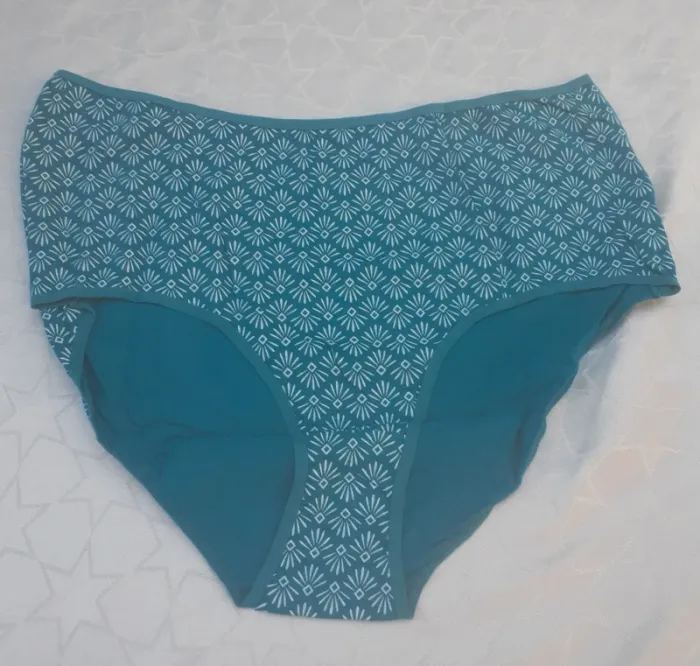 Lot de 10 culottes T50/52 - photo numéro 5