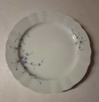 Assiette plate porcelaine fine fleur bleue winterling markletheuthen bavaria