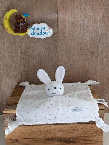 ABS04 doudou lapin 🐰absorba