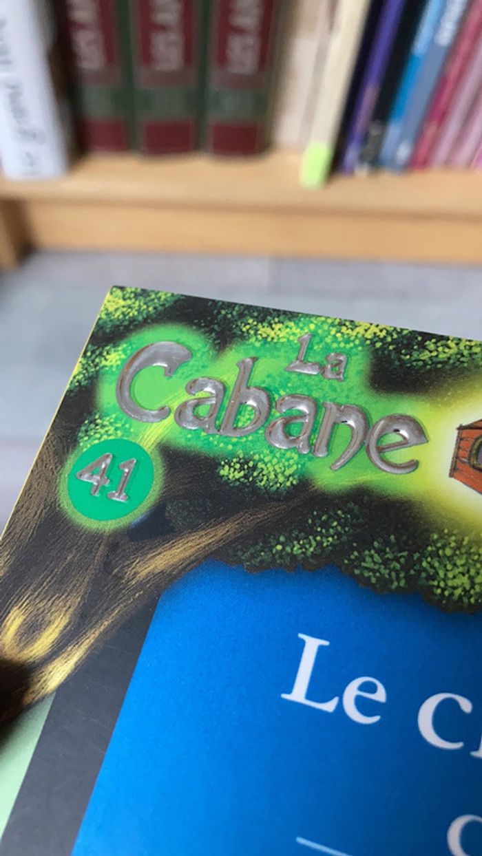 La cabane magique - photo numéro 2