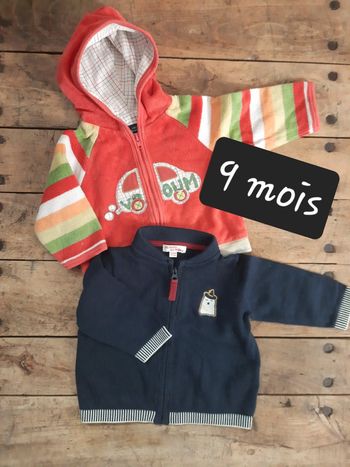 Lot de 2 gilets zippés