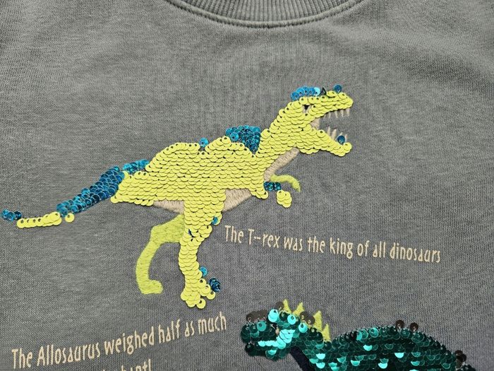 Sweat bleu ciel dinausore H&M 5 ans - photo numéro 3