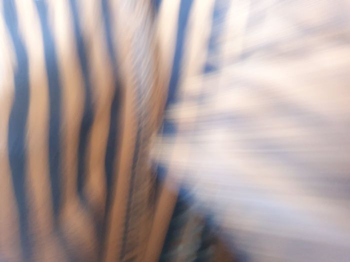 Maillot t-shirt sous pull 3ans garçon - photo numéro 2