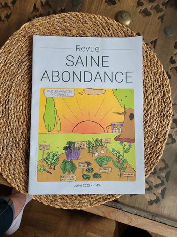 Revue Saine Abondancence n*45