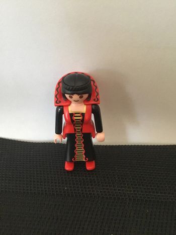 Playmobil figurine marâtre belle mère cendrillon 4213 conte