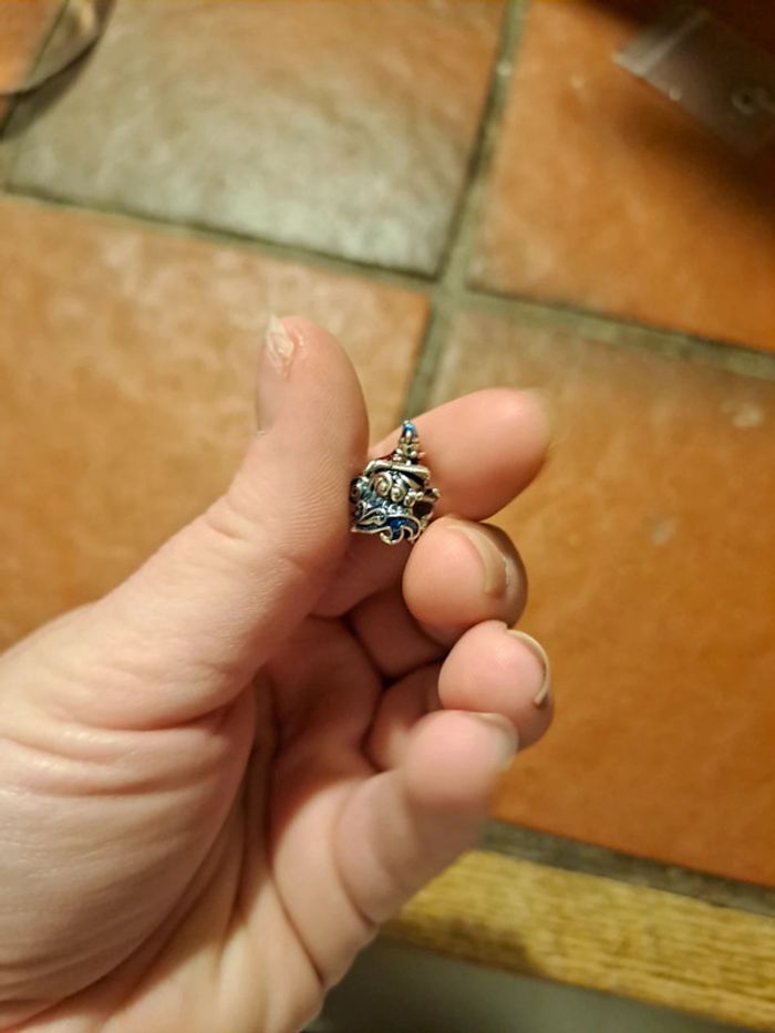 Accessoire - photo numéro 4