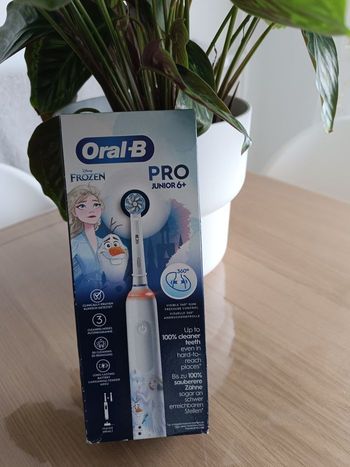 Brosse à dents Pro