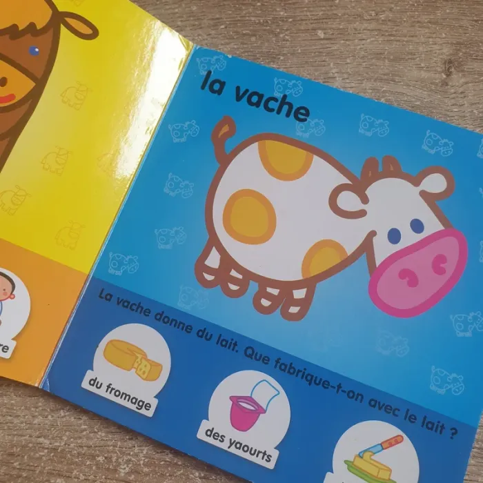 ⭐ Livre Les animaux Yoyo éditions #emyfleury_livres - photo numéro 7