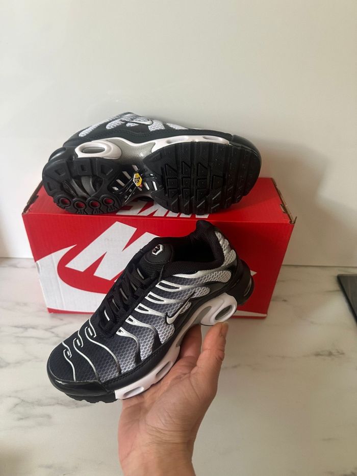 Tn grise - photo numéro 4