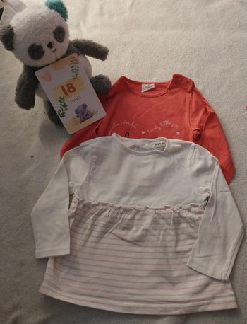 Lot 2 t-shirt 18 mois 