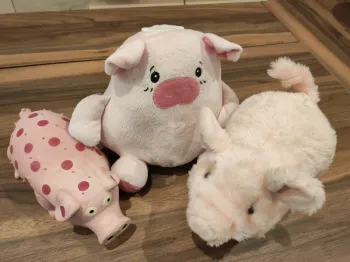 Lot cochons