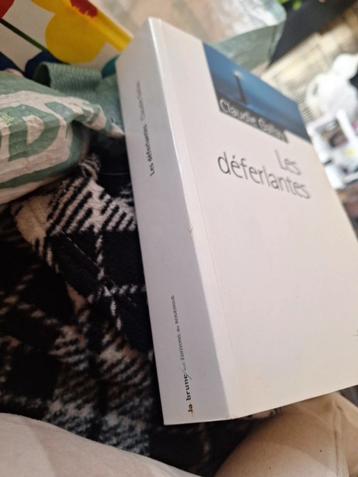 Livre la brune - photo numéro 2