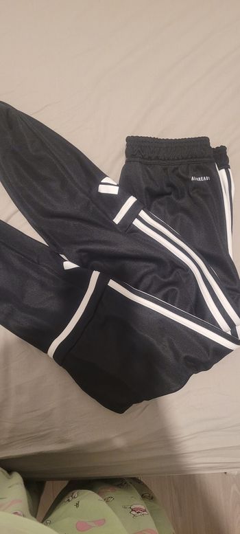 Jogging adidas neuf