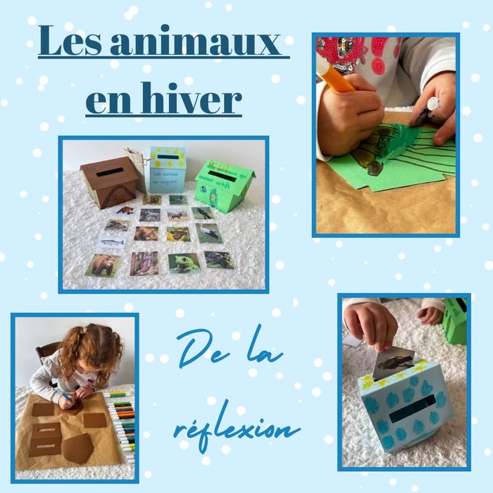 Box créatives et éducatives - photo numéro 2