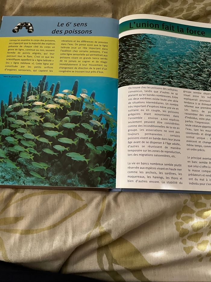 Livre. Le Règne Animal neuf - photo numéro 3