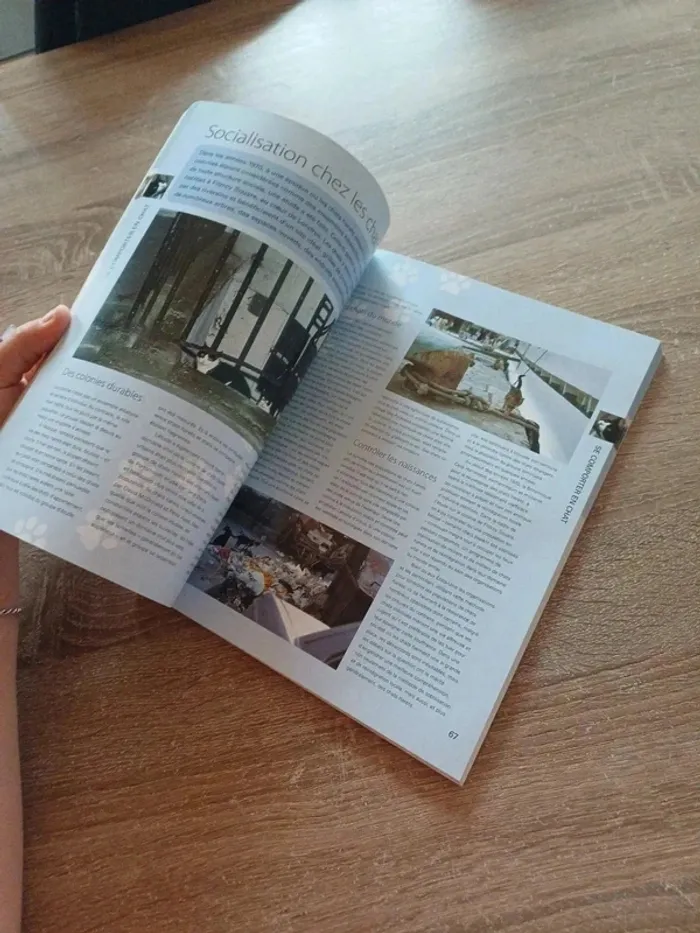 Livre " 100 clés pour comprendre son chat " - photo numéro 9