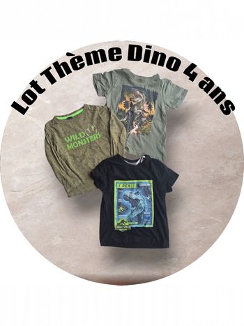 Lot t-shirt garçon 4 ans