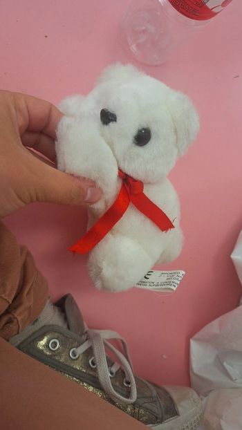 Doudou petit ours chat blanc