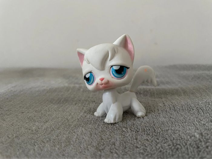 Pet shop de 2007 - photo numéro 4