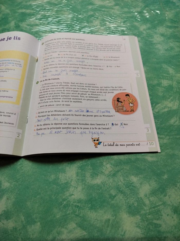 Mini chouette - photo numéro 8