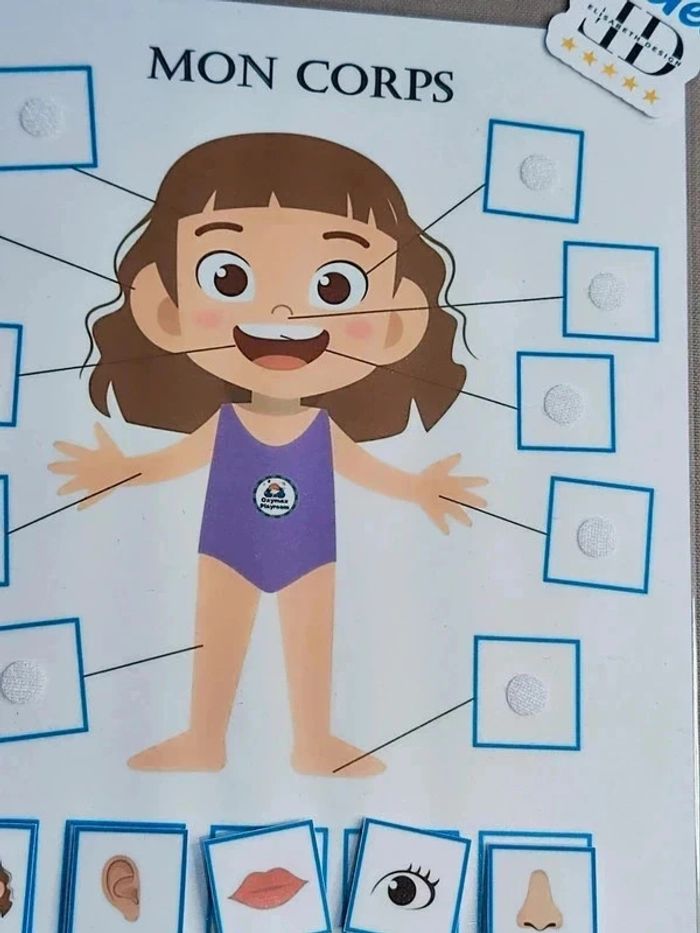 Fiche à scratch parties du corps fille Montessori - photo numéro 4