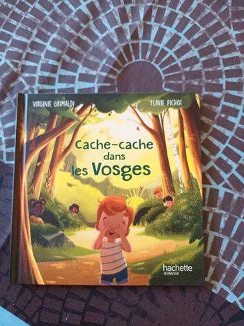 Livre cache cache dans les vosges