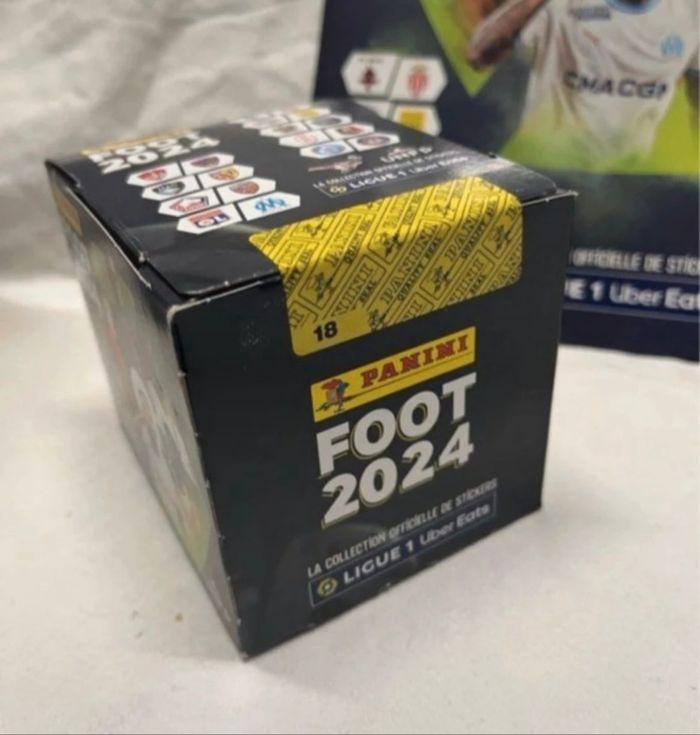 Kit Panini stickers Foot 2024 - photo numéro 2