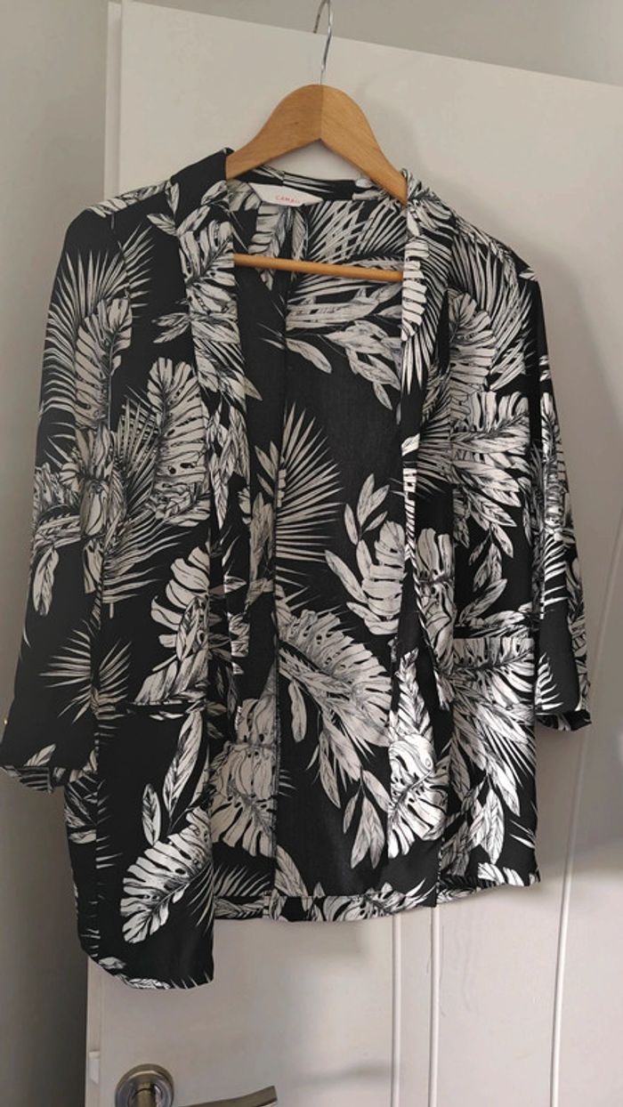 Veste camaïeu