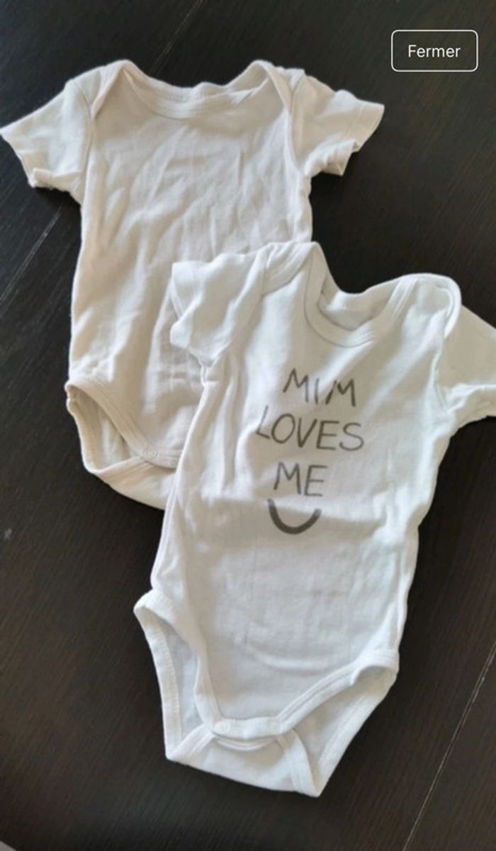 Lot bodies - photo numéro 2