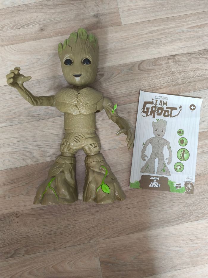Groot qui grandit ... - photo numéro 2