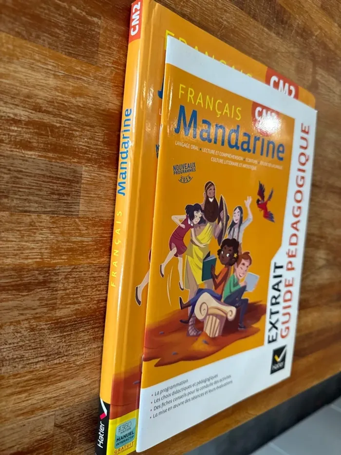 Livre français, mandarine, CM2 - photo numéro 4