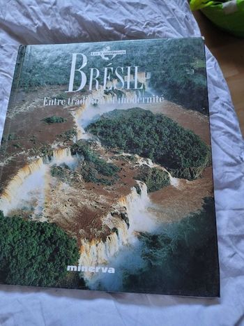 Brésil entre tradition et modernite