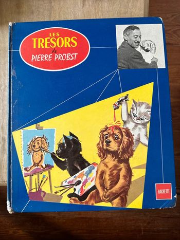 Grand recueil bd livre album bleu Les trésors de Pierre Probst Caroline Youpi Pouf