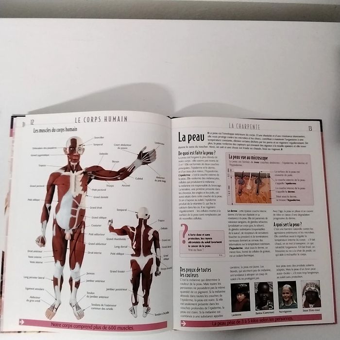 Le corps humain - photo numéro 3