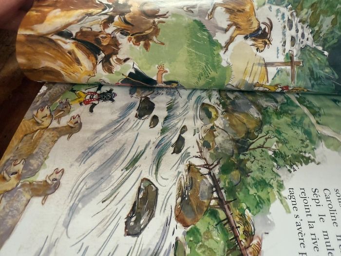 Moyen 2 - Livre édition limitée reliure rouge Caroline dans les Alpages Pierre Probst bd - photo numéro 9