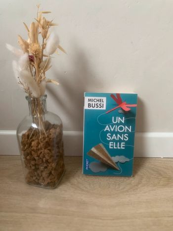• Livre « Un avion sans elle » de Michel Bussi