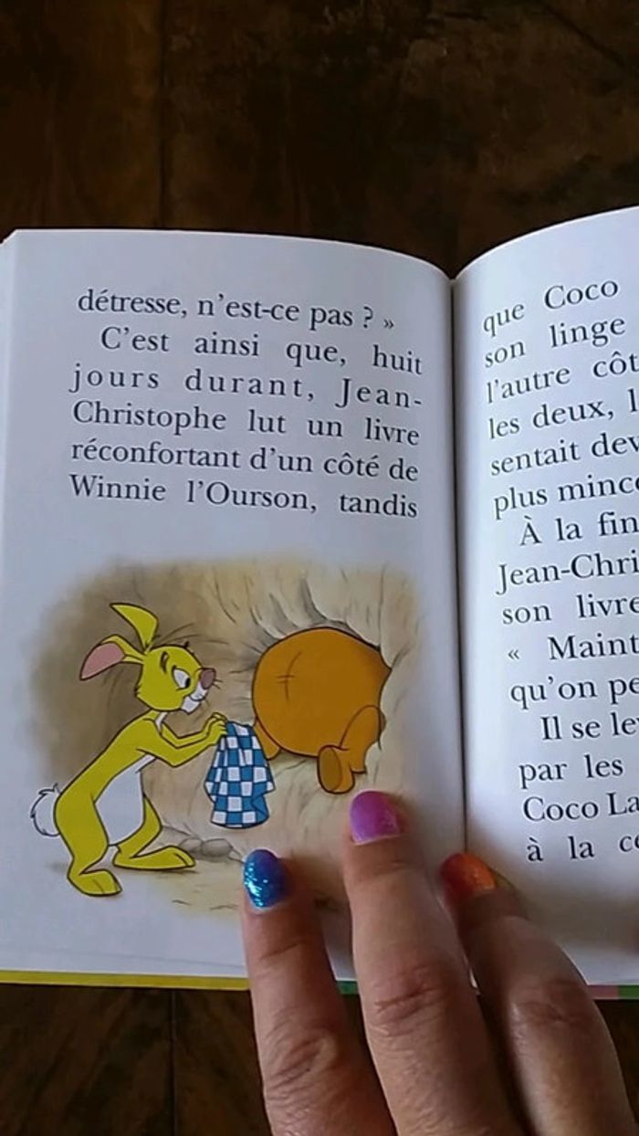 Livre winnie l ourson - photo numéro 3