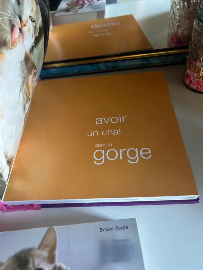 Lot de livres chat - photo numéro 6
