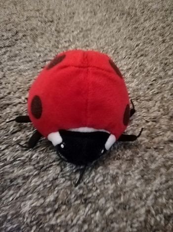 Peluche coccinelle