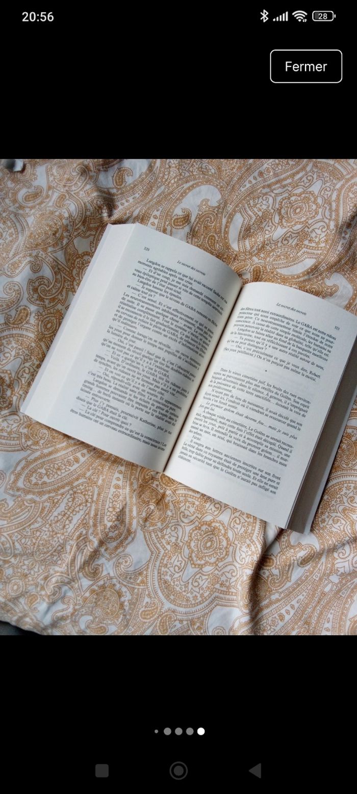 Le secret des secrets Dan Brown - photo numéro 5