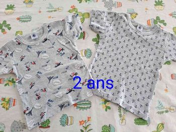 Lot de 2 tee-shirt petit bateau 2 ans tbe 