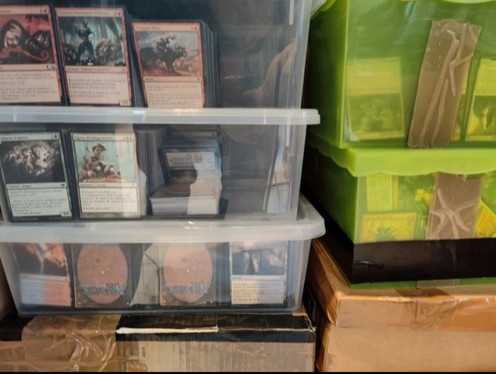 Lot 1000 cartes magic différentes raretés magic the gathering - MTG