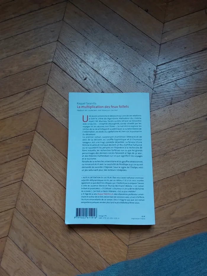 La multiplication des feux follets - photo numéro 3