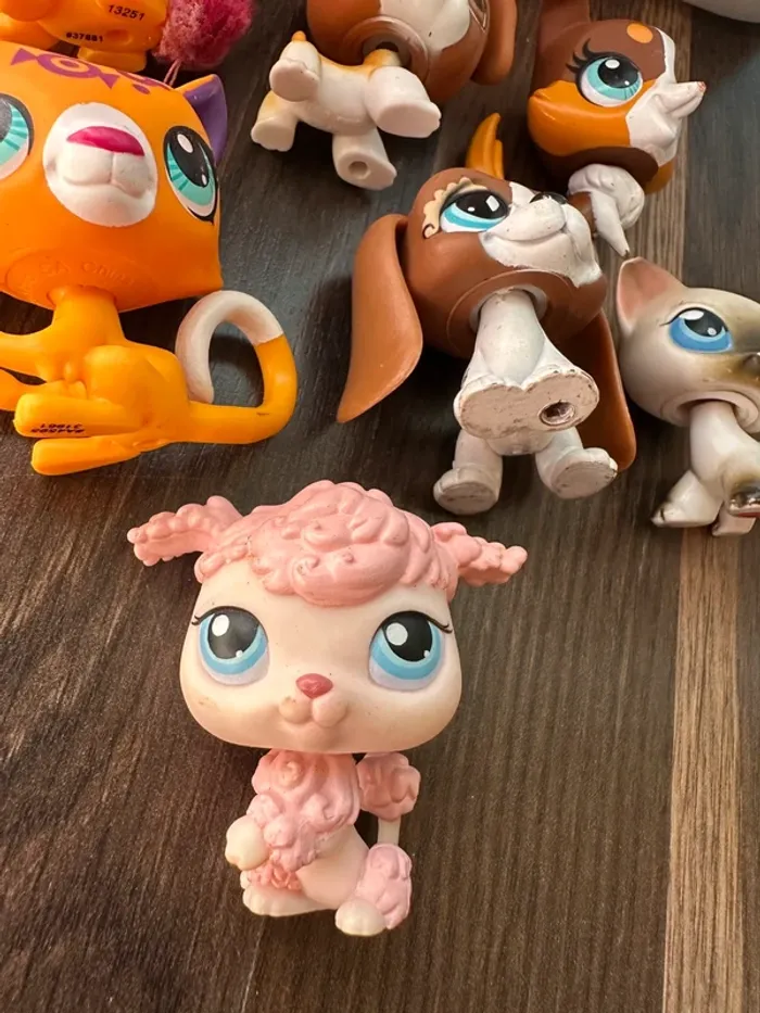 Lot petshop - photo numéro 8