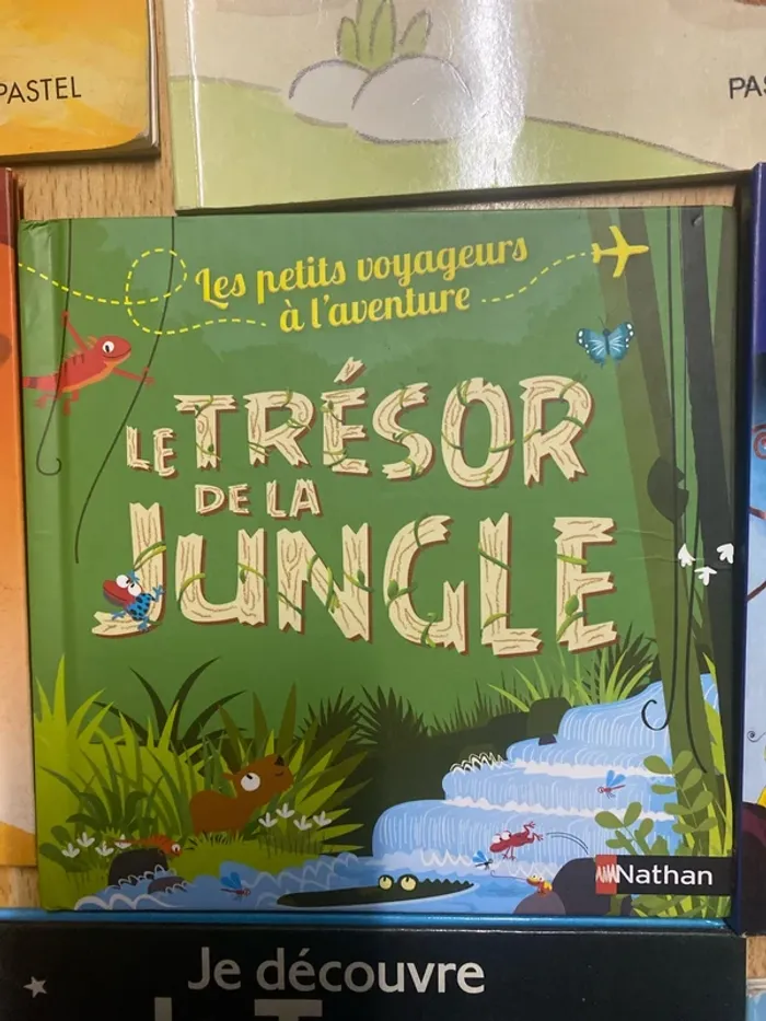 Livre enfants - photo numéro 7