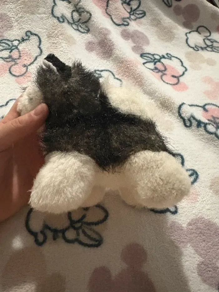 Chien noir et blanc - photo numéro 3