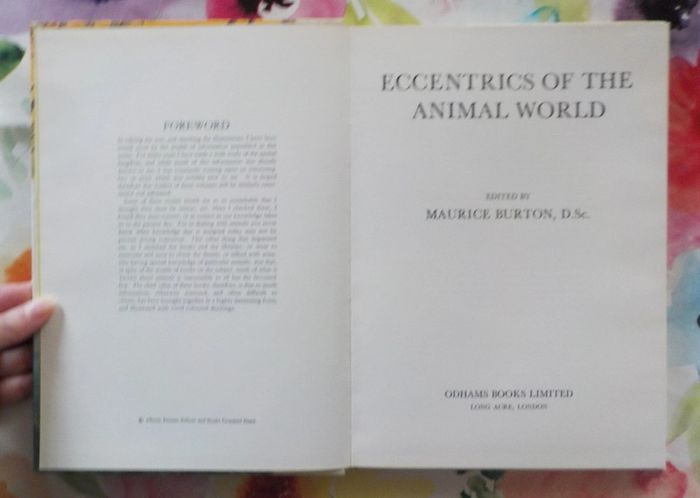Eccentrics of the animal world Animal world in colour M. Burton - photo numéro 5