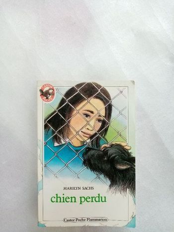 Livre enfant chien perdu